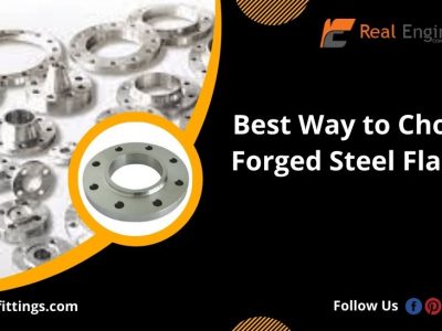 forged stainless steel flanges
