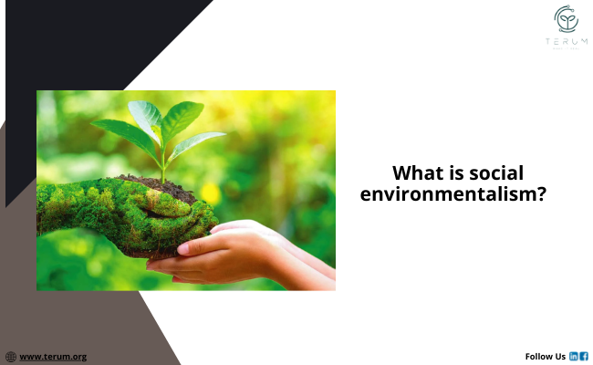 Social environmentalists