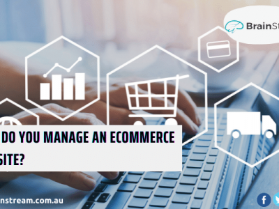 Ecommerce website management services