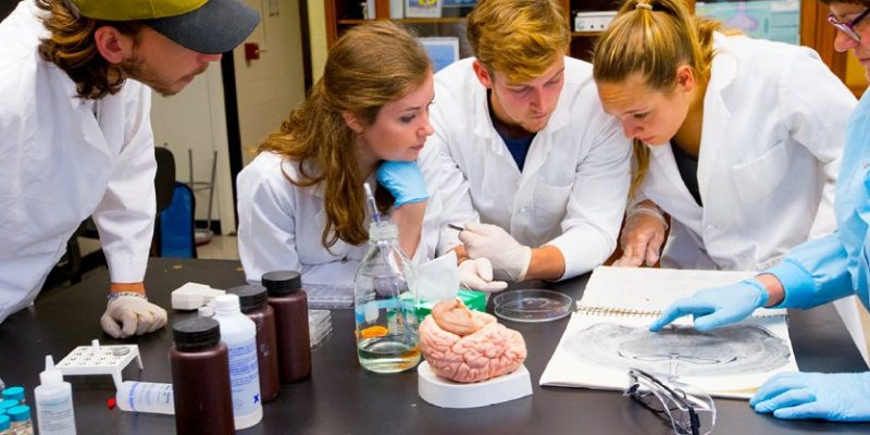 Best Colleges for Neuroscience Niche