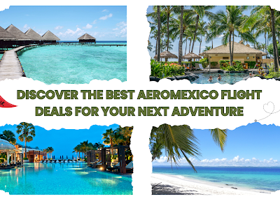 Aeromexico Flight