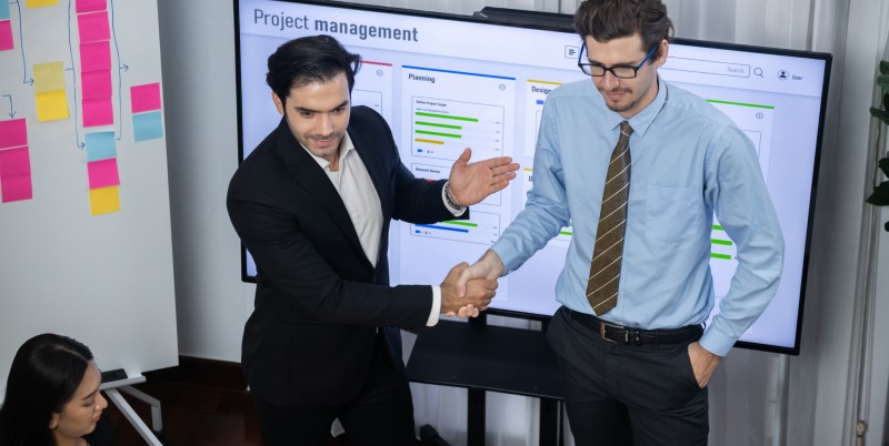 QA Consulting Risk Mitigation Projects
