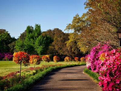 Garden Tasks to Get Ready for Spring