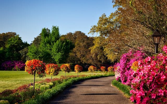 Garden Tasks to Get Ready for Spring