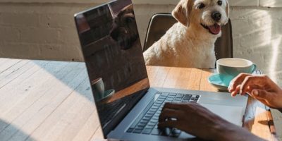 Dog If You Work