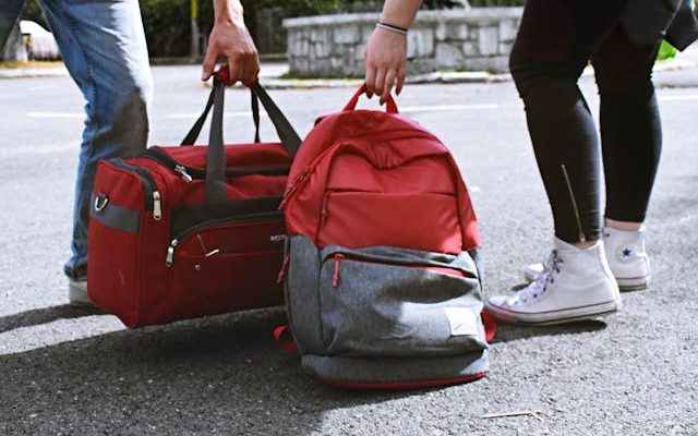 Bags for Frequent Travellers