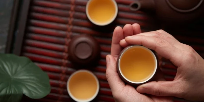 The Luxury Brew Redefining Modern Wellness