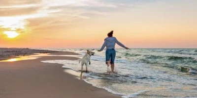 The Best Dog-Friendly Holidays in the UK