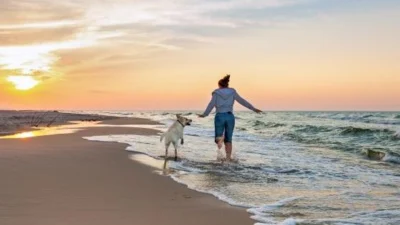 The Best Dog-Friendly Holidays in the UK