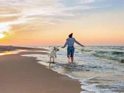 The Best Dog-Friendly Holidays in the UK