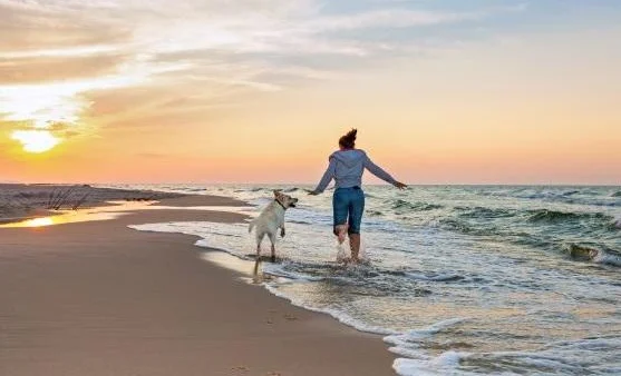 The Best Dog-Friendly Holidays in the UK